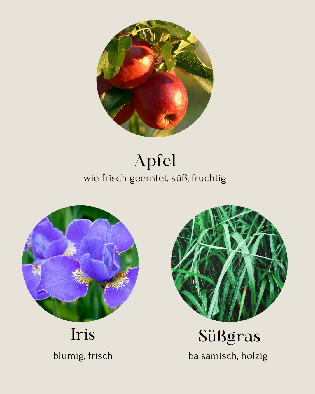 Apfelernte| Limited Edition Duftkerze