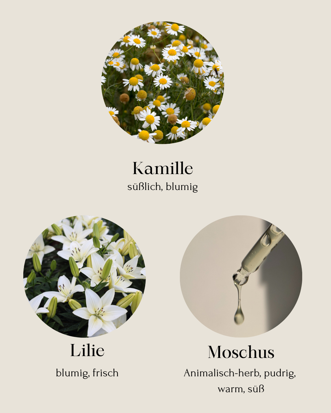 fresh & clean | Limited Edition Duftkerze