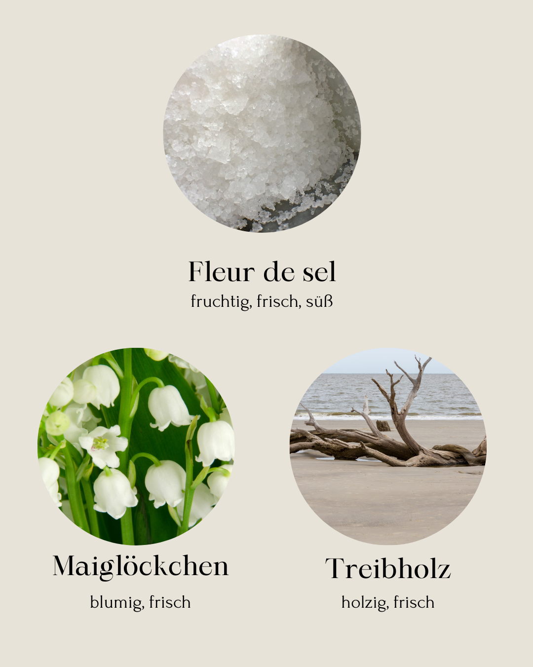 Küstenflucht Duftkerze