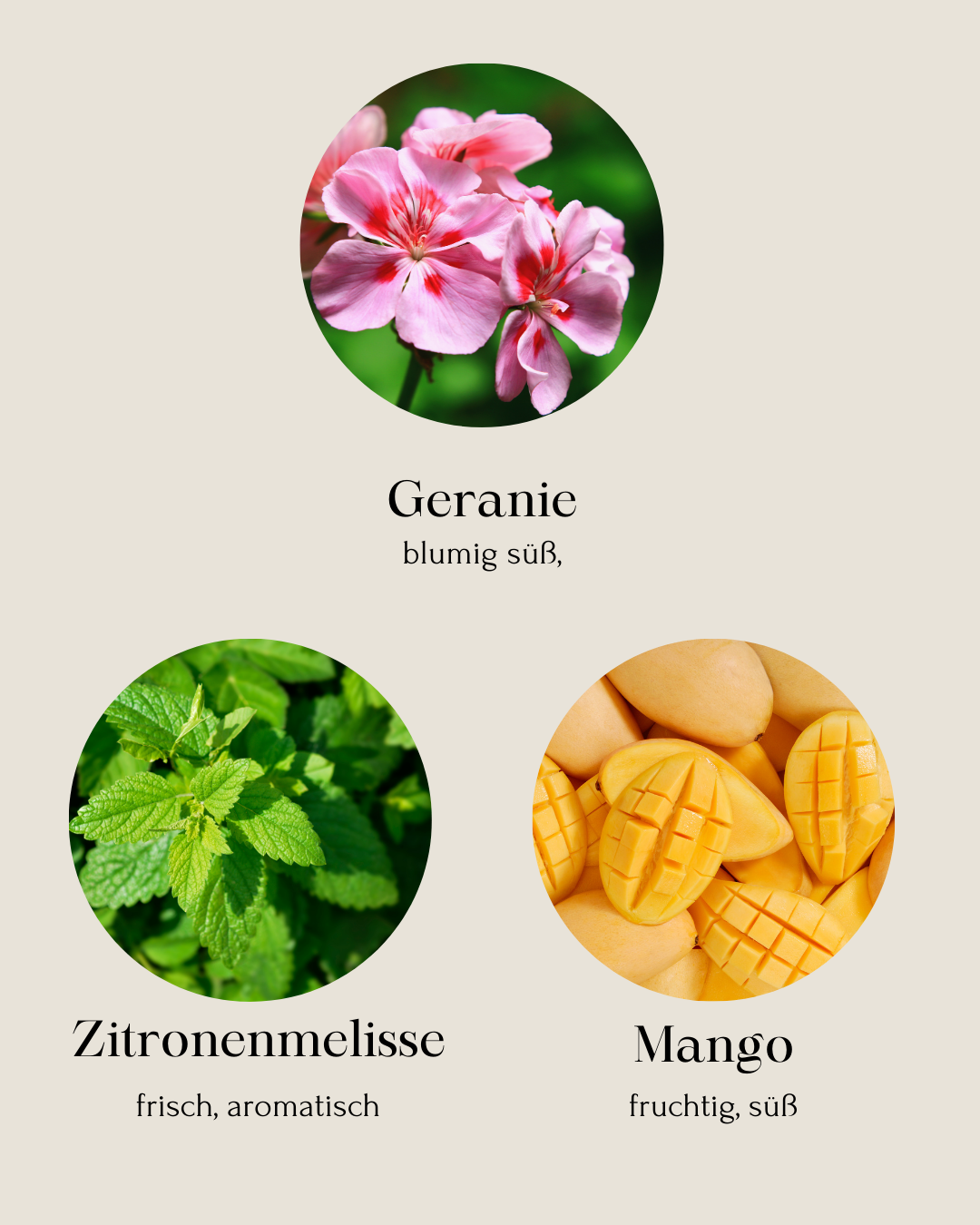 Küstenheide Duftkerze