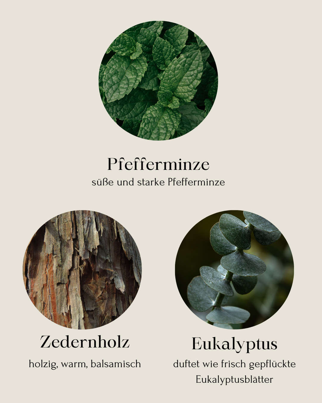 Minty Harmony Duftkerze