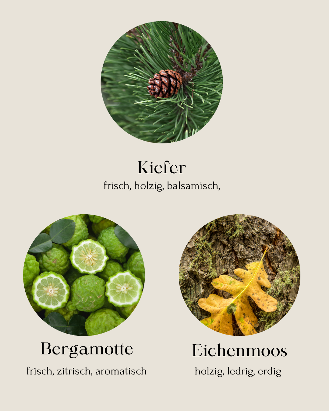 Wernerwald Duftkerze